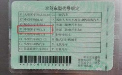 【b1和b2驾驶证哪个好,b1和b2驾驶证哪个好就业】