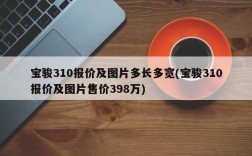宝骏310报价及图片多长多宽(宝骏310报价及图片售价398万)
