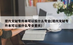 现代文秘专升本可以报什么专业(现代文秘专升本可以报什么专业重庆)
