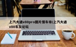 上汽大通v80pro图片懂车帝/上汽大通v80车友论坛