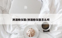 测酒精仪器/测酒精仪器怎么吹