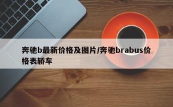 奔驰b最新价格及图片/奔驰brabus价格表轿车