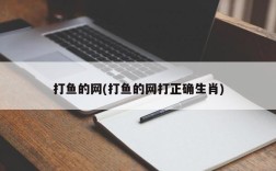 打鱼的网(打鱼的网打正确生肖)