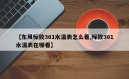 【东风标致301水温表怎么看,标致301水温表在哪看】