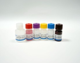 elisa试剂盒 elisa试剂盒怎么读