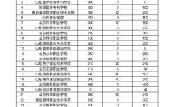 2025山东单招最新消息／山东2021年单招计划