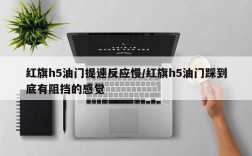 红旗h5油门提速反应慢/红旗h5油门踩到底有阻挡的感觉