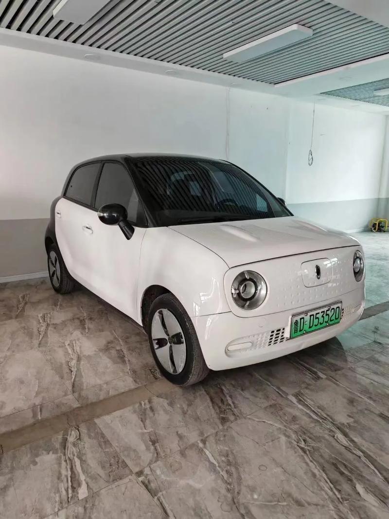 长城汽车纯电动/长城纯电车型