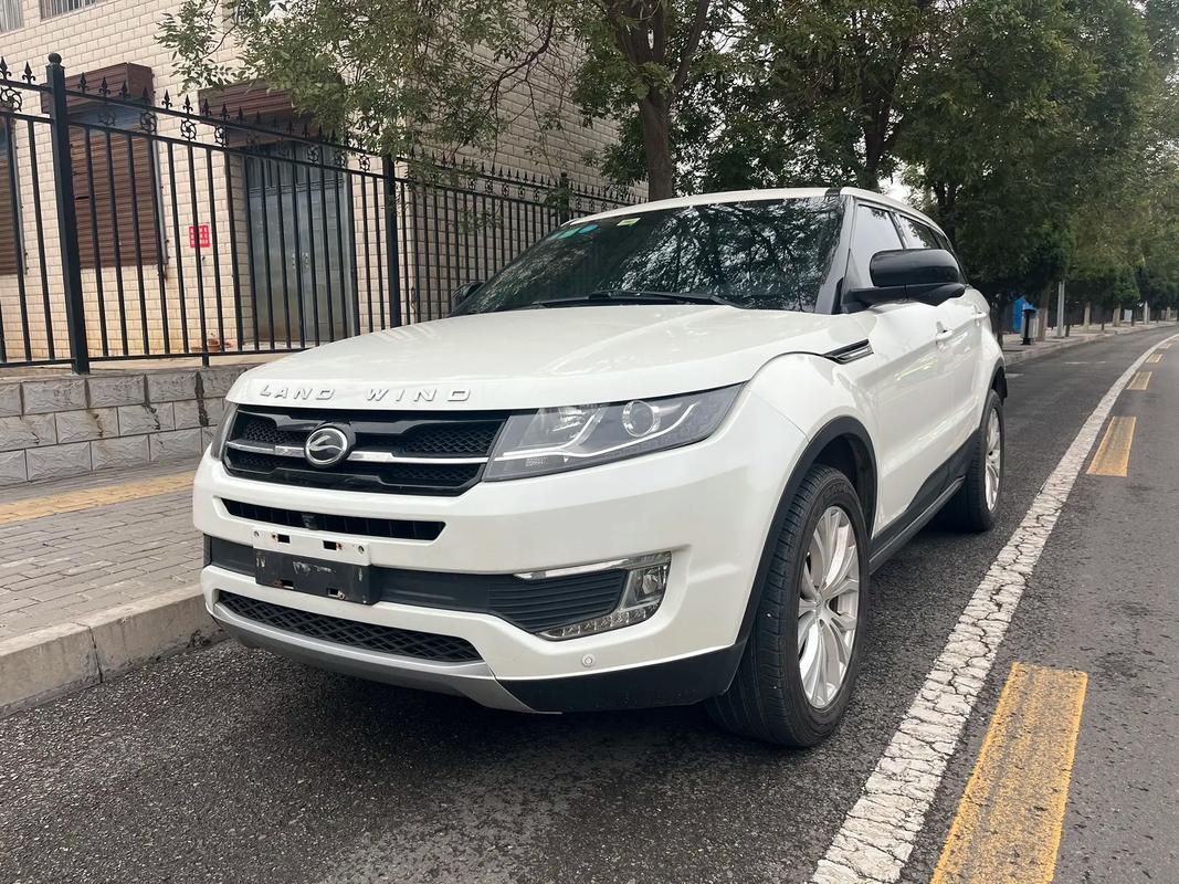 路风汽车/陆风汽车