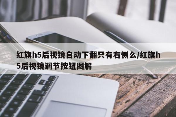 红旗h5后视镜自动下翻只有右侧么/红旗h5后视镜调节按钮图解