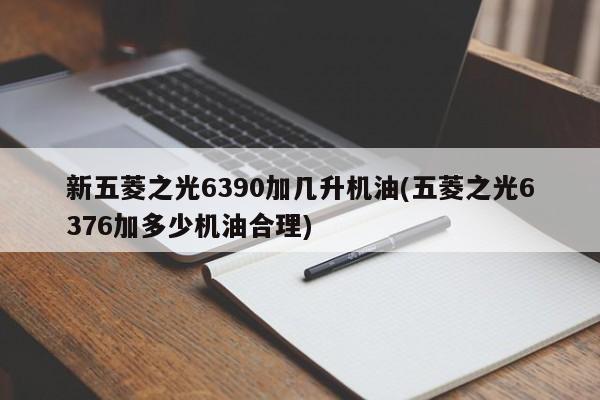 新五菱之光6390加几升机油(五菱之光6376加多少机油合理)