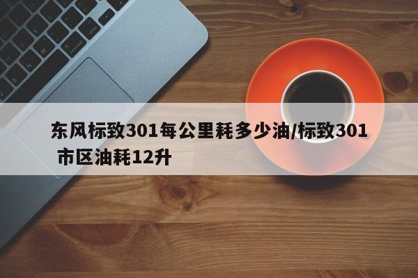 东风标致301每公里耗多少油/标致301 市区油耗12升